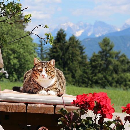 Niederhaeusererhof Falzes Esterno foto