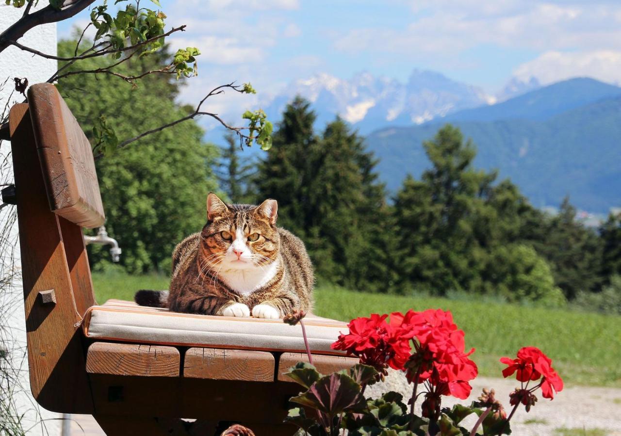 Niederhaeusererhof Falzes Esterno foto
